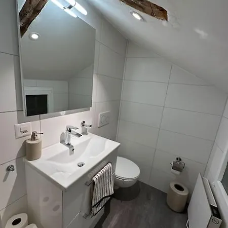 Apartament Alte Amtsstube In Filet 200 M Von Gondel Riederalp *