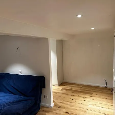 Apartament Alte Amtsstube In Filet 200 M Von Gondel Riederalp Mörel